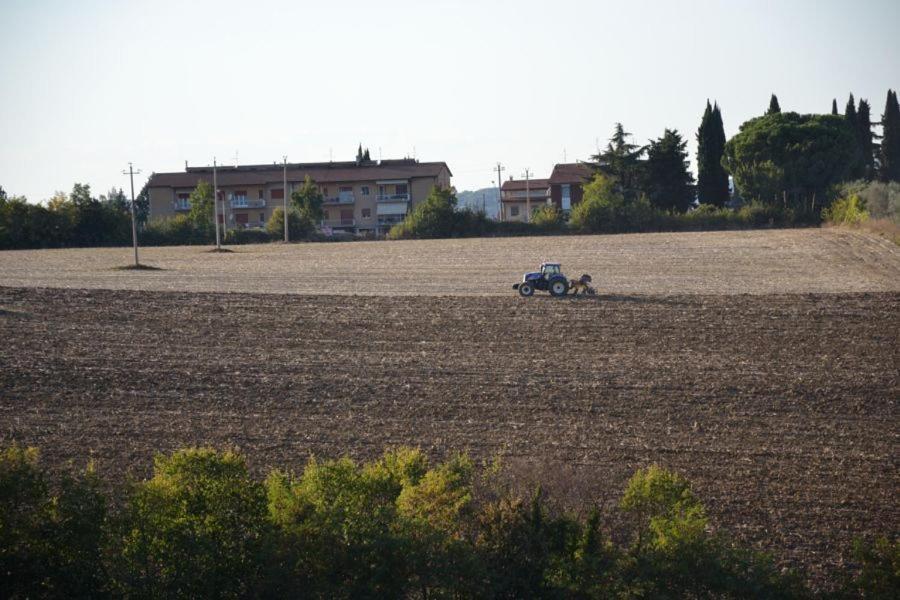 Perugia Farmhouse Εξωτερικό φωτογραφία
